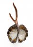Float-Flower.jpg - Copper, Feathers, Barramundi scales, Epoxy Resin; 36(W) x 67(H) x 17(D) cm